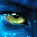 Avatar d1ominik2