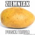 Avatar polski_ziemniak