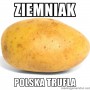 Avatar polski_ziemniak