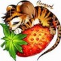 Avatar tygrysekamil