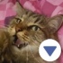 Avatar hkllbr3w