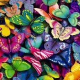 Avatar Butterfly__