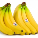 Avatar Banan_1337
