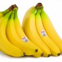 Avatar Banan_1337