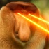 Avatar Pyoter_Nosacz