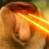 Avatar Pyoter_Nosacz