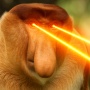 Avatar Pyoter_Nosacz