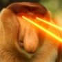 Avatar Pyoter_Nosacz