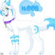 Avatar Moon00