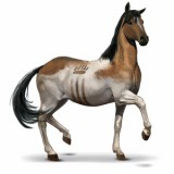 Avatar dream_horse