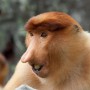 Avatar DziksonPL