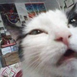 Avatar Lojka_777