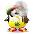 Avatar Matek88