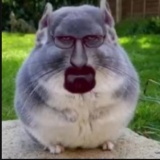 Avatar Bydgoszczanin