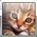 Avatar mateusz87654