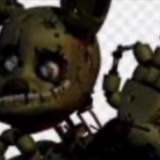 Avatar twoja_stara_springtrap