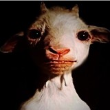 Avatar Homunculus11
