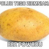 Avatar czekoladowa04