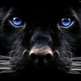 Avatar klaudiajedynak