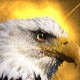 Avatar metion132