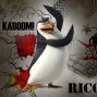 Avatar Pingwin_Rico