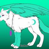 Avatar Wolf1234