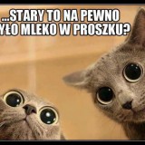 Avatar xXxpatrykxXx