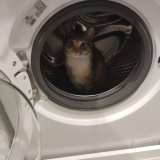 Avatar lusiathebestkitty