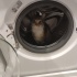 Avatar lusiathebestkitty