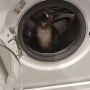 Avatar lusiathebestkitty
