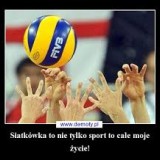 Avatar siatkarz123