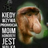 Avatar belik111