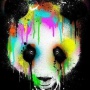 Avatar Mroczna_Panda