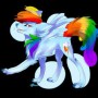 Avatar RainbowDashPL161