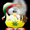 Avatar Bartek720