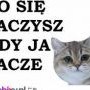 Avatar koteczek10