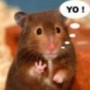 Avatar Alletun