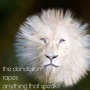 Avatar Raspootis