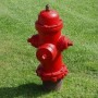 Avatar hydrant