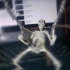 Avatar Randomowy