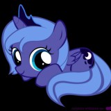 Avatar AmciaMH123