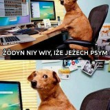 Avatar dzakejo250