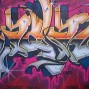 Avatar Sawantir55