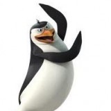 Avatar pingwin122