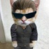 Avatar Diefant
