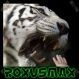 Avatar roxusmaximus