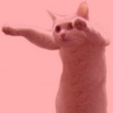 Avatar CatCrimson