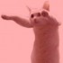 Avatar CatCrimson