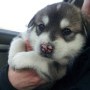 Avatar kasiaiwaniuk8