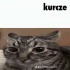 Avatar LusiX